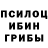 Псилоцибиновые грибы Psilocybine cubensis Romario A