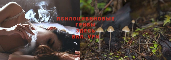 бошки Нефтегорск