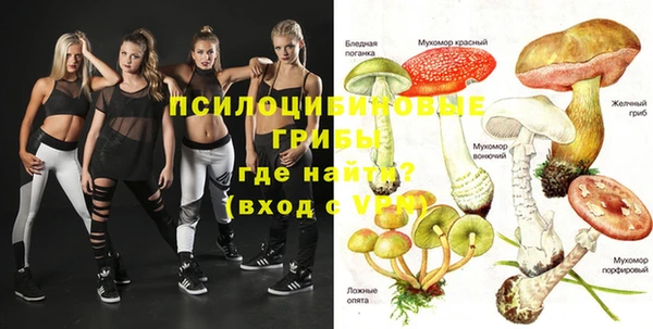 крисы Нефтекумск