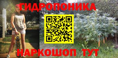 МДПВ Дубна