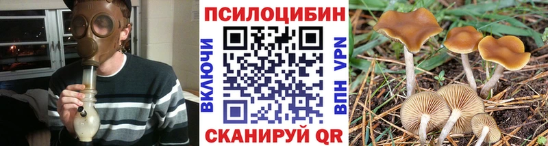 Галлюциногенные грибы GOLDEN TEACHER  kraken ONION  площадка клад  Североуральск 