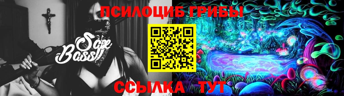 Галлюциногенные грибы Psilocybe Североуральск