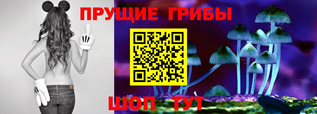 Североуральск  Галлюциногенные грибы GOLDEN TEACHER  Вход с VPN 